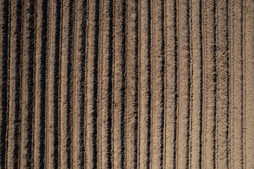 Plowed Furrows: Preparing the Soil for Planting