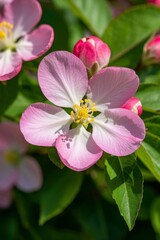 there is a close up of a pink flower with green leaves