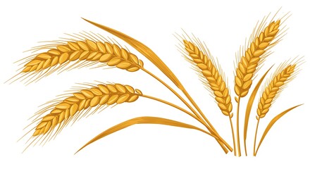 Golden Wheat Stalks Harvest Abundance Harvest Gold Wheat Illustration Ripe Wheat Graphic Design Element Golden Wheat Detailed Vector Art Vibrant Wheat Design Nature Imagery AI Generated