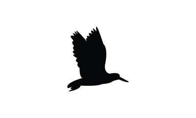 Flying African oystercatcher bird Silhouette Design  And Vector Illustration. 