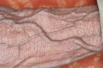 Capturing the intricate details of an elderly hand in natural light