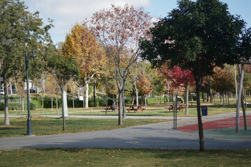 Naklejka premium Autumn afternoon in a peaceful city park with colorful trees