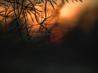 sunset in the mountains