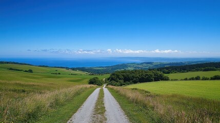 Fototapeta premium Scenic country road leads to ocean view on a sunny day.