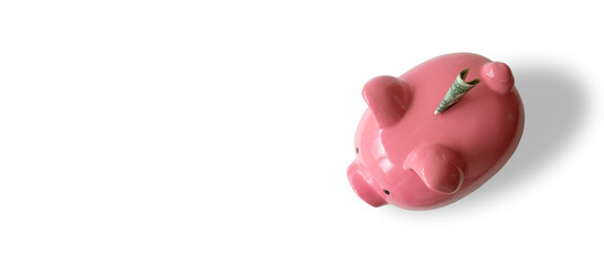 A pink piggy bank with money and white background.