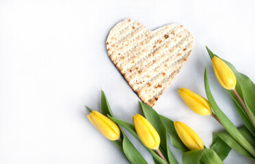 Layout of Traditional Matzah shape of heart prepared for Passover with on white background with yellow tulips and ribbon. banner. top view. Spring Holiday of Jewish people. Fasting time