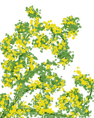 Obraz premium Spring yellow flower