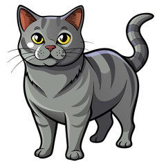 Fototapeta premium Chartreux cat standing confidently with bright eyes and playful demeanor