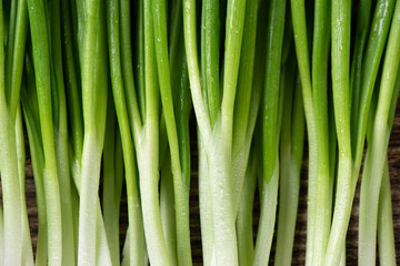 closeup of young green onions background.