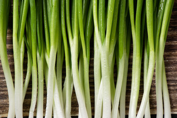 closeup of young green onions background.
