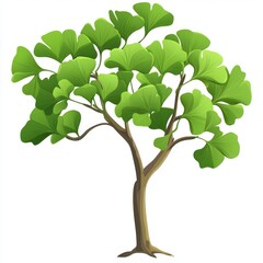 Obraz premium Ginkgo Biloba Tree Illustration