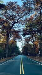 The road always leads you home …. 