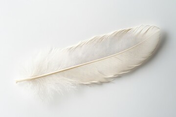 Obraz premium A Single White Feather Lies Against a White Background Surface