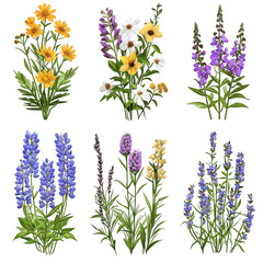 Naklejka premium A colorful assortment of vibrant flowers in various shapes and sizes against a transparent background for design use