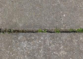 Background of destroyed concrete path, gray concrete, concrete texture, close-up. Natural photo. Old concrete slab