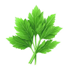 Naklejka premium Transparent background image isolate into png. Transparent background image separated into png. Fresh Green Parsley Sprigs Isolated on Transparent Background