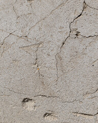 Background of destroyed concrete path, gray concrete, concrete texture, close-up. Natural photo. Old concrete slab