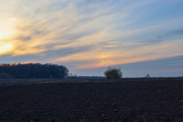 The photograph depicts a landscape with a field in the foreground and a forest in the background. The field has dark, cultivated earth, indicating agricultural work.
