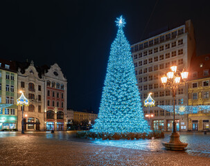 Naklejka premium Christmas Tree and Fredro Monument Illuminated at Night in Wroclaw Market Square