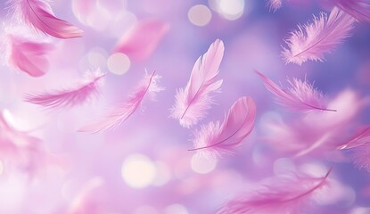 Delicate pink feathers floating in soft light