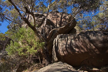 Big boulders at the hiking track from Halls Gap to Venus Baths in Grampians National Park in Victoria, Australia
