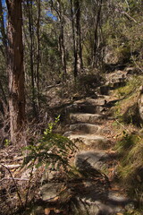 Hiking track at Venus Baths in Grampians National Park in Victoria, Australia
