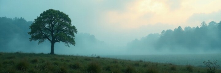 Naklejka premium A serene forest scene with a single tree standing alone in the misty atmosphere , nature, tree, mist