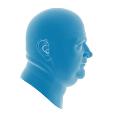 Blue plastic mannequin head in profile view.