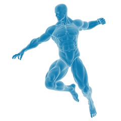 Digital sculpture of a male anatomical figure.