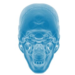 Blue-tinted human skull X-ray image