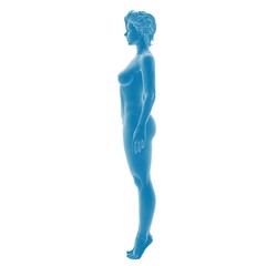Naklejka premium 3D rendering of a female human anatomy in blue.