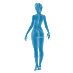 Naklejka premium 3D blue silhouette of a standing female figure
