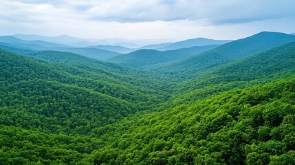 Naklejka premium Aerial views of serene forested valleys in the stunning southern appalachian mountains