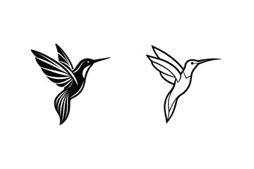 Hummingbird Line Art Two Elegant Black and White Designs