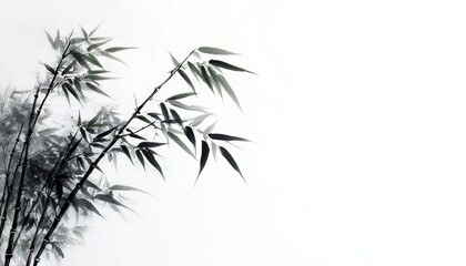 Elegant Bamboo in Ink Painting Style