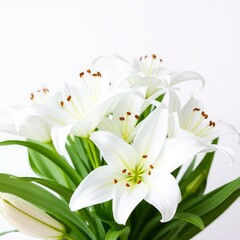 Fototapeta premium lily of the valley