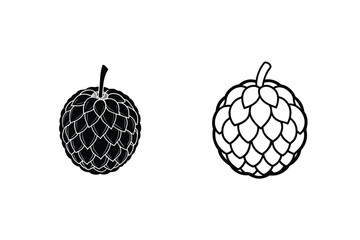 Cherimoya Fruit Illustrations Black, Outline, Tropical, Sweet, Delicious