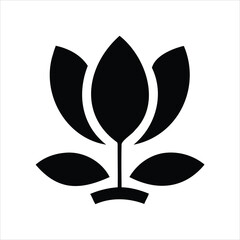 Would you like it a bit shorter or more descriptive?