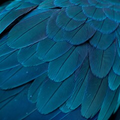 Obraz premium Close-up of Blue and Teal Bird Feathers in Layered Pattern