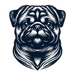 Pug vector and illustrations