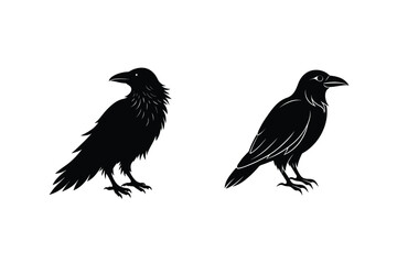 Two Black Crow Silhouettes Bird, Avian, Gothic, Raven, Illustration, Vector, Design, Graphic, Artwor