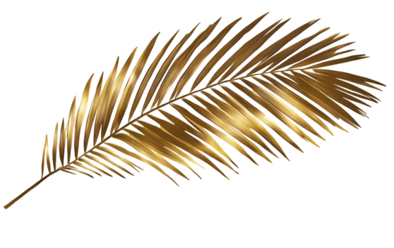 Palm leaf, golden color, transparent background, PNG