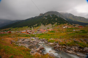 Elevit Plateau - Rize. It is located in Çamlıhemşin District at an altitude of 1884 meters. The plateau is mostly visited by expats in the summer months.