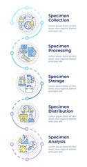 Naklejka premium Specimen lifecycle infographic vertical sequence. Laboratory experiments with bio samples. Visualization infochart with 5 steps. Circles workflow. Montserrat SemiBold, Lato Regular fonts used