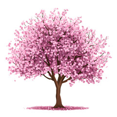 Beautiful cherry blossom tree, with a transparent background