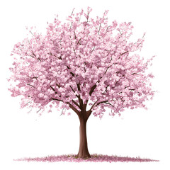 Obraz premium Beautiful cherry blossom tree, with a transparent background