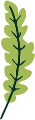 Leaf Icon