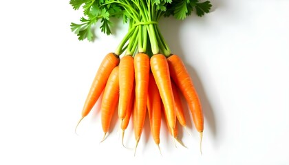 A studio shot of a bunch of carrots against a white background. The carrots are bright orange and have green stems