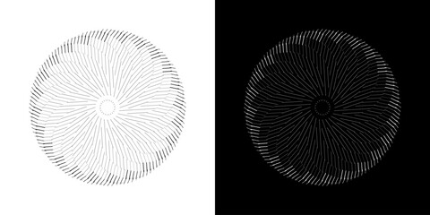 Abstract background with abstract line pattern in circles. Spiral art design as a logo or icon. A black figure on a white background and the same white figure on a black side. Mandala design with line