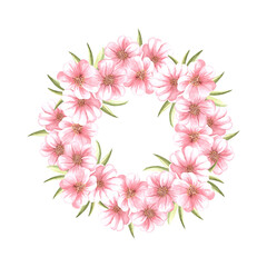 Pink flowers of almond with leaves watercolor wreath. Round frame from sakura, apple or cherry blossom. Floral isolated illustration with copy space. Spring blooming of fruit trees in sketch style.